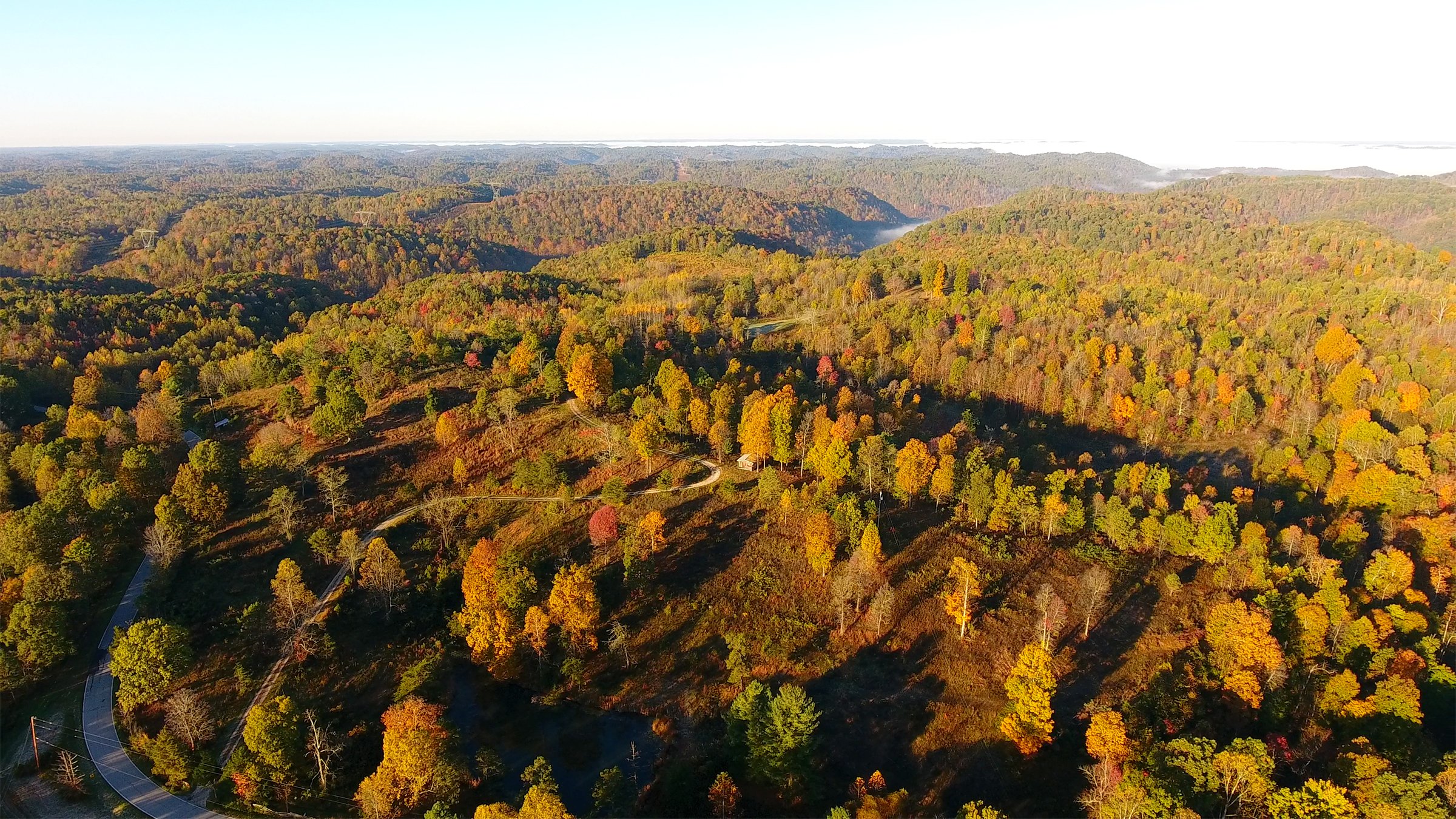 Property photo 25 - LAND AUCTION - 1,682+/- ACRES OFFERED IN 17 TRACTS IN LEWIS & GREENUP COUNTIES, KENTUCKY
